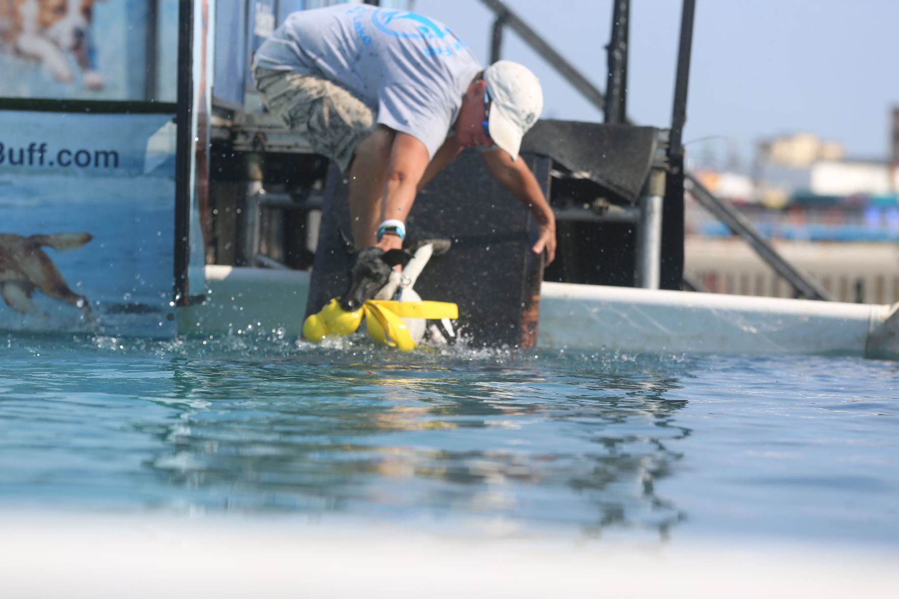 090919_gal_dockdogsWW (29)